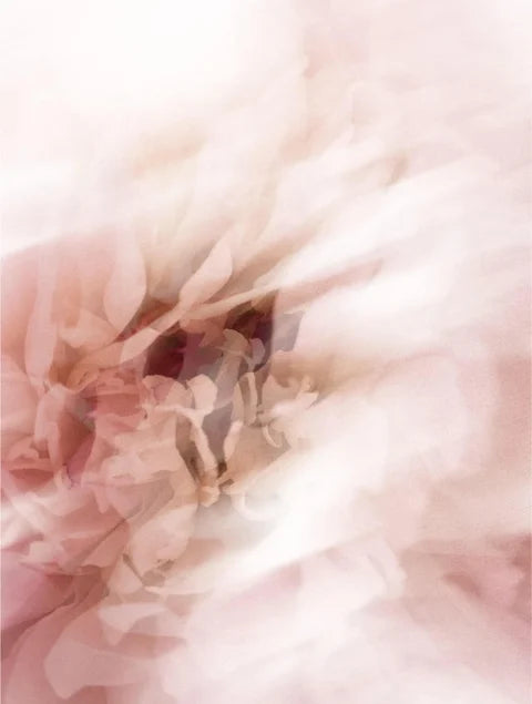 Serum Sun Stick SPF50