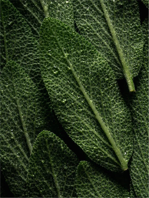 Keratin Volumen Boost Shampoo